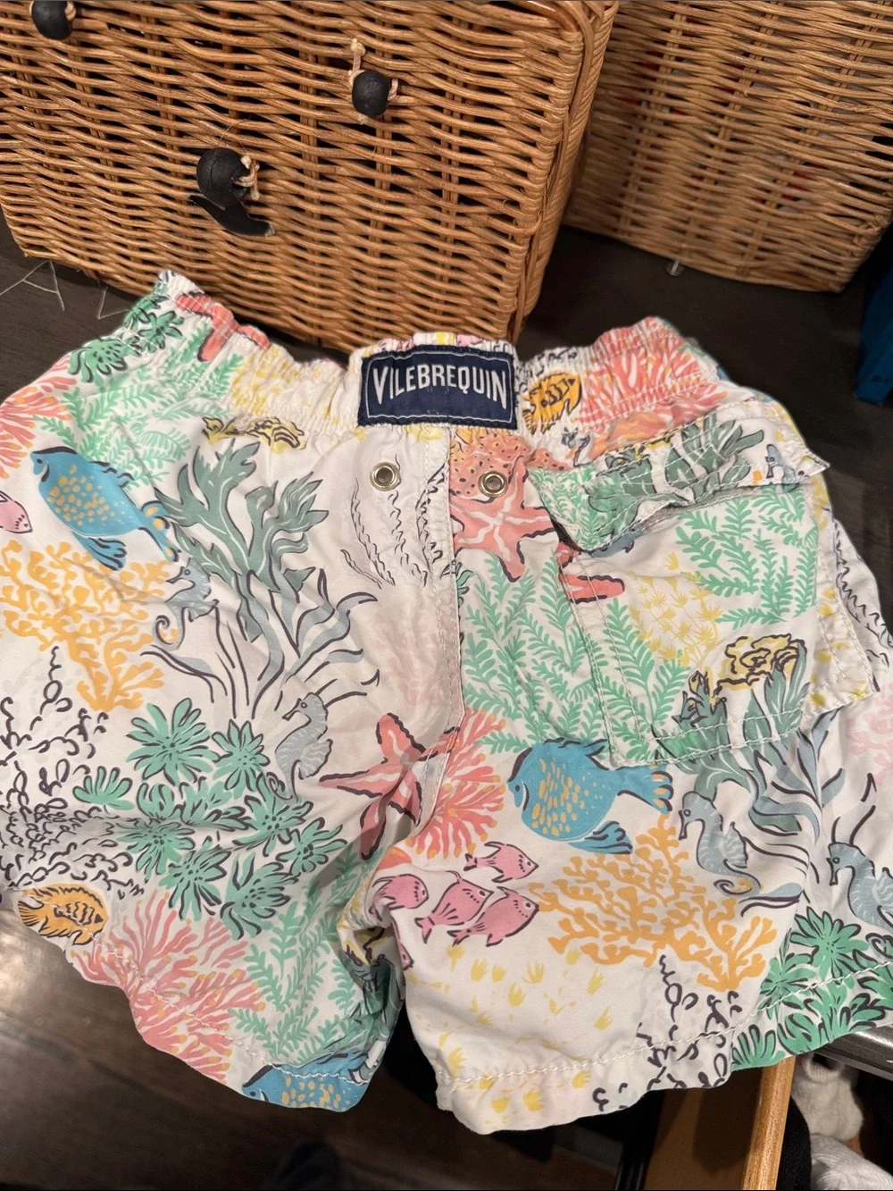 Women’s Multicolor Coral Reef Print Shorts with Red Drawstring
